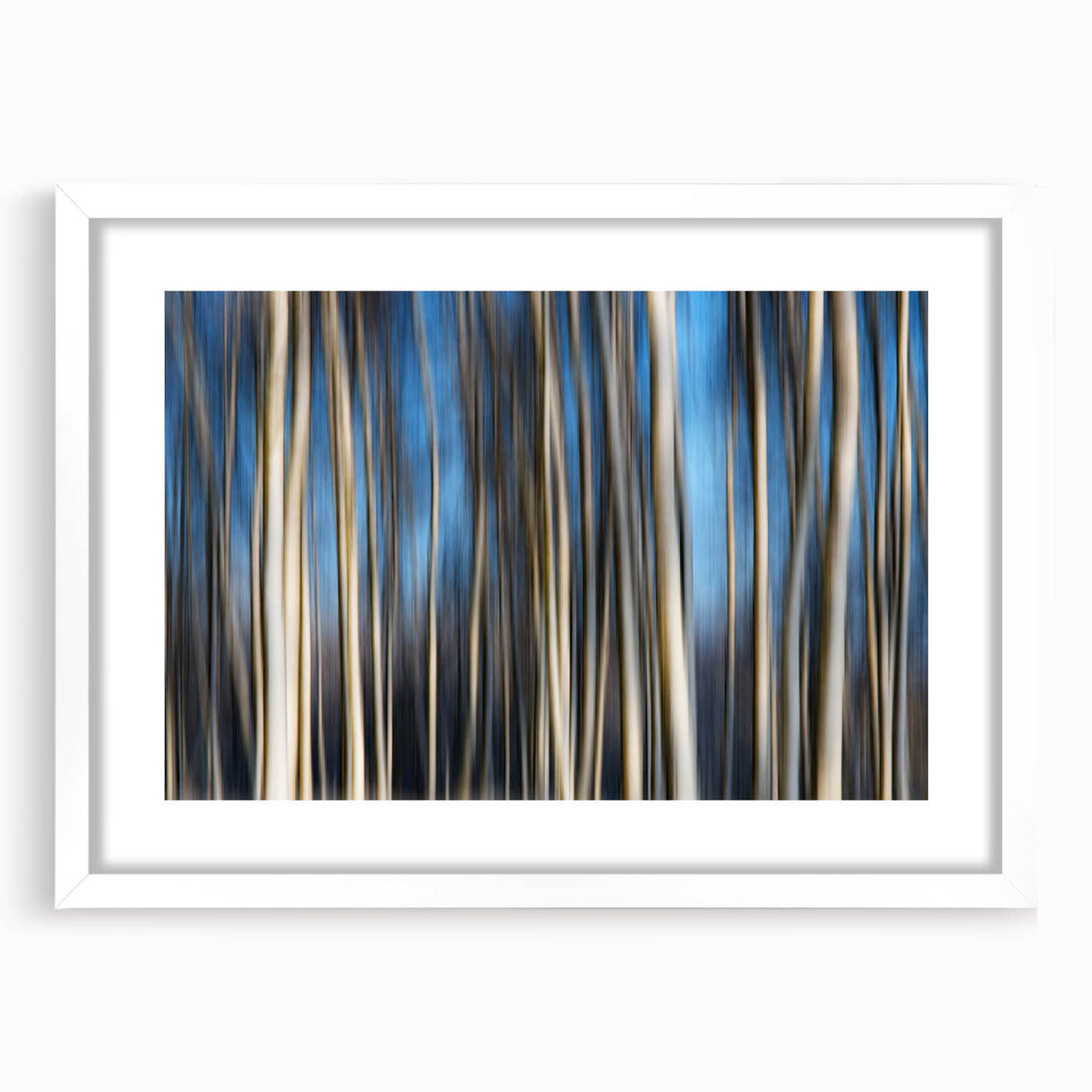 Vertical Rhythm – Motion Photography Through a Blue Forest Scene