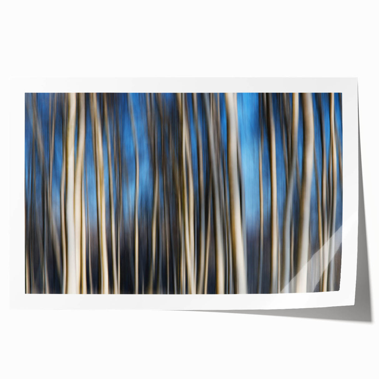 Vertical Rhythm – Motion Photography Through a Blue Forest Scene