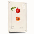 Acrylic glass print of large abstract fruit designs in vibrant colors, suitable for dining room or bedroom decor.