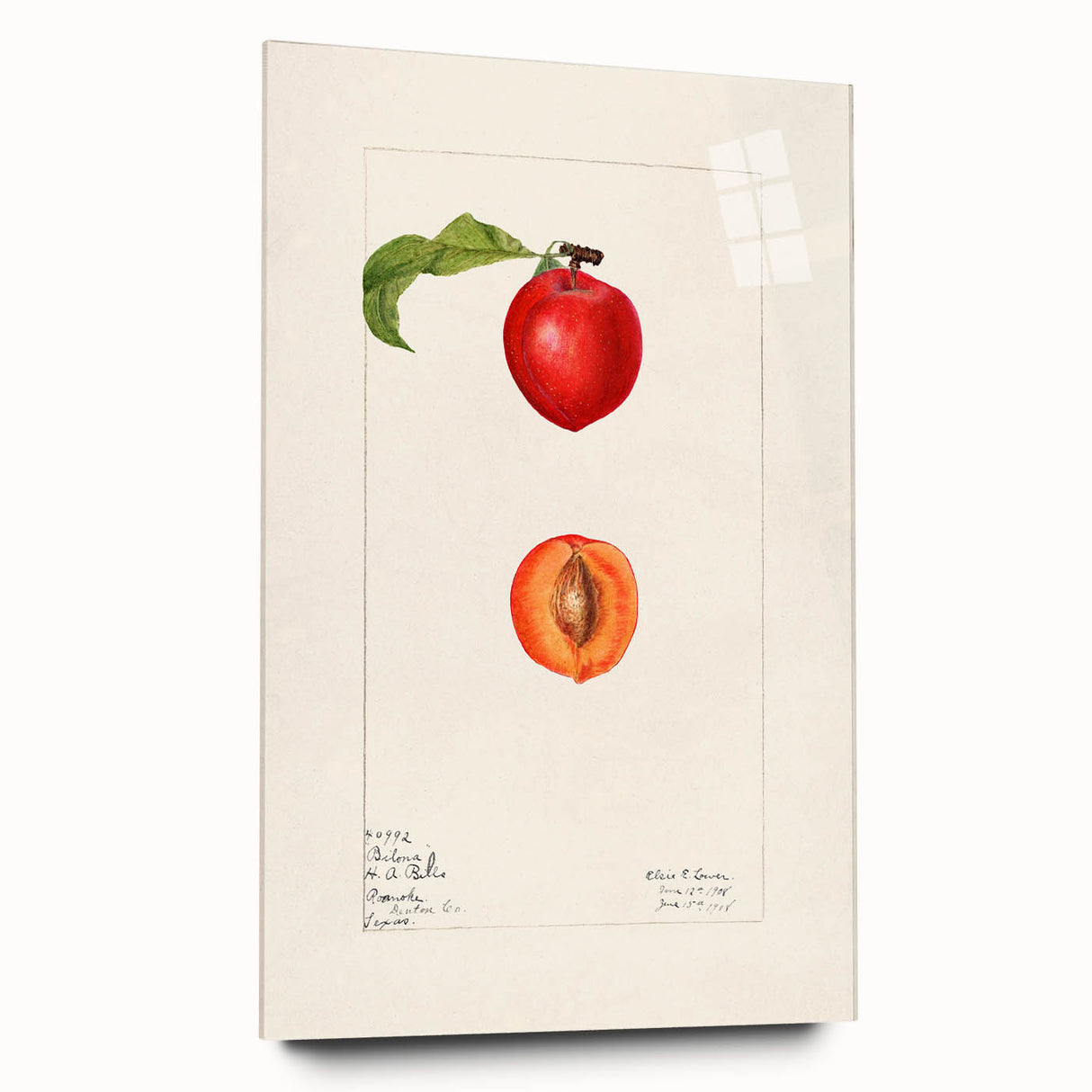 Large abstract wall art featuring vibrant fruit designs on acrylic glass, ideal for bedroom or dining room decor.