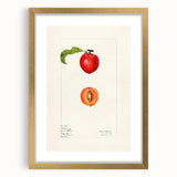 Extra large abstract art print featuring textured fruits in muted earth tones, framed in gold, ideal for living room decor.
