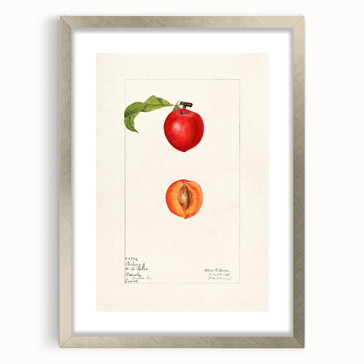 Textured art depicting abstract fruit designs in vibrant colors on a silver-framed, matted print, suitable for bedroom decor.