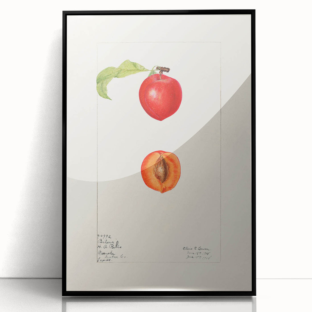 Large abstract wall art featuring assorted fruits in vibrant colors on black acrylic, framed, ideal for kitchen decor.