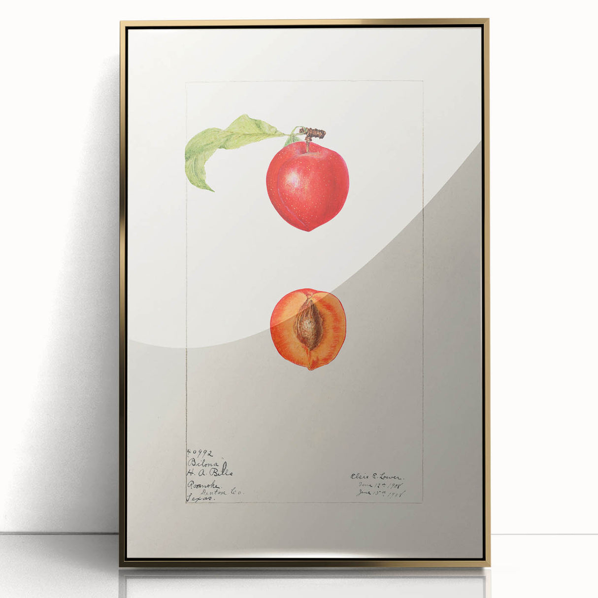 Large art print of assorted fruits in bold colors on a gold-acrylic framed canvas, styled in mid-century modernist design.