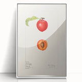Acrylic print of assorted fruits in art deco style with a white frame, suitable for modern kitchen decor.