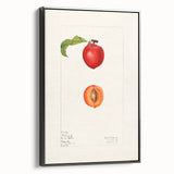 Black and white framed canvas featuring a vintage poster art style landscape of fruits, ideal for bedroom wall decor.
