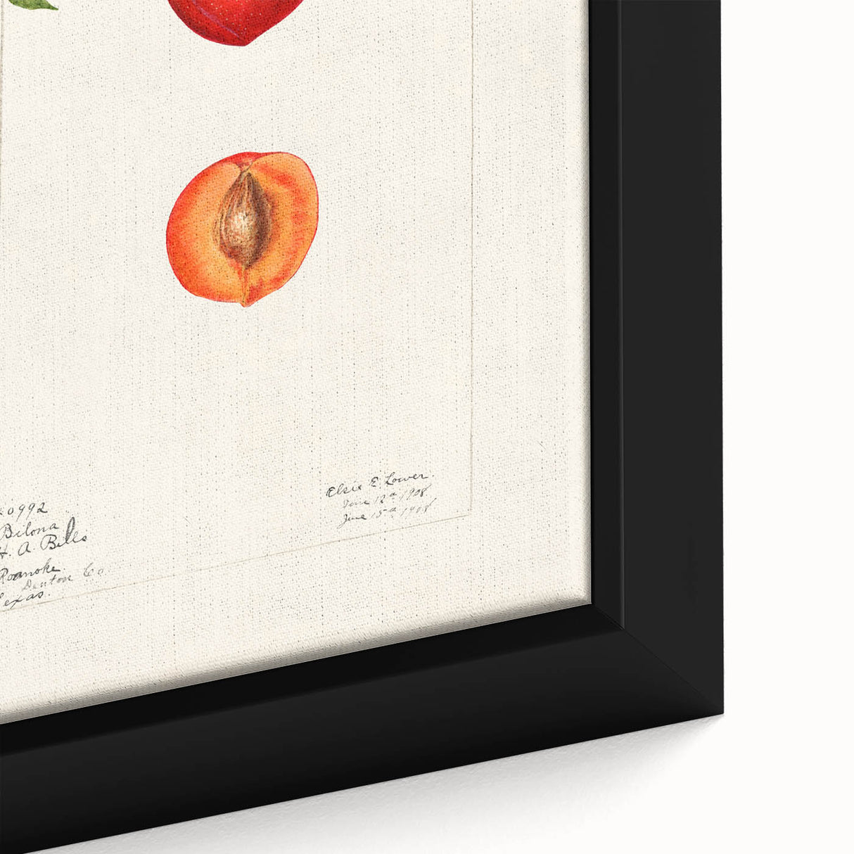 Close-up of a black framed canvas featuring a colorful, textured depiction of assorted fruits, ideal for living room decor.
