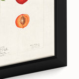 Close-up of a black framed canvas featuring a colorful, textured depiction of assorted fruits, ideal for living room decor.