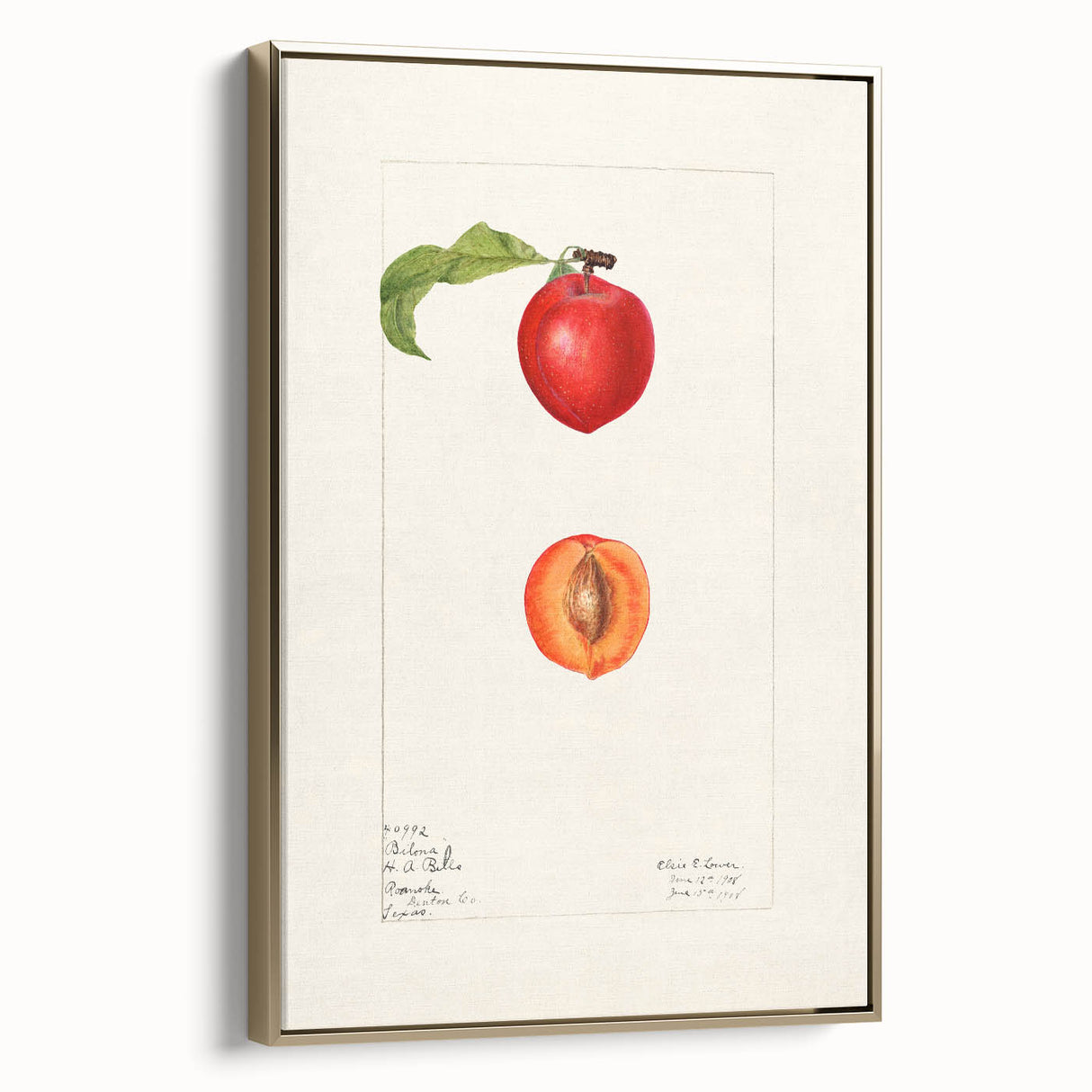 Framed canvas featuring a vintage poster of assorted fruits in rich gold tones, suitable as wall art for a bedroom.