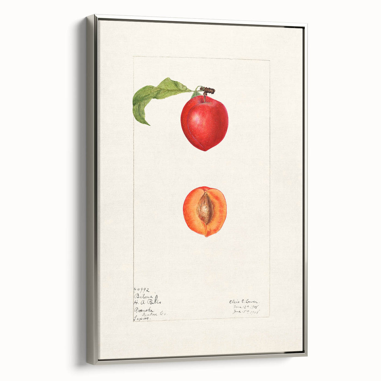 Landscape art painting of colorful fruits on a black background, framed canvas, ideal for kitchen wall decor.