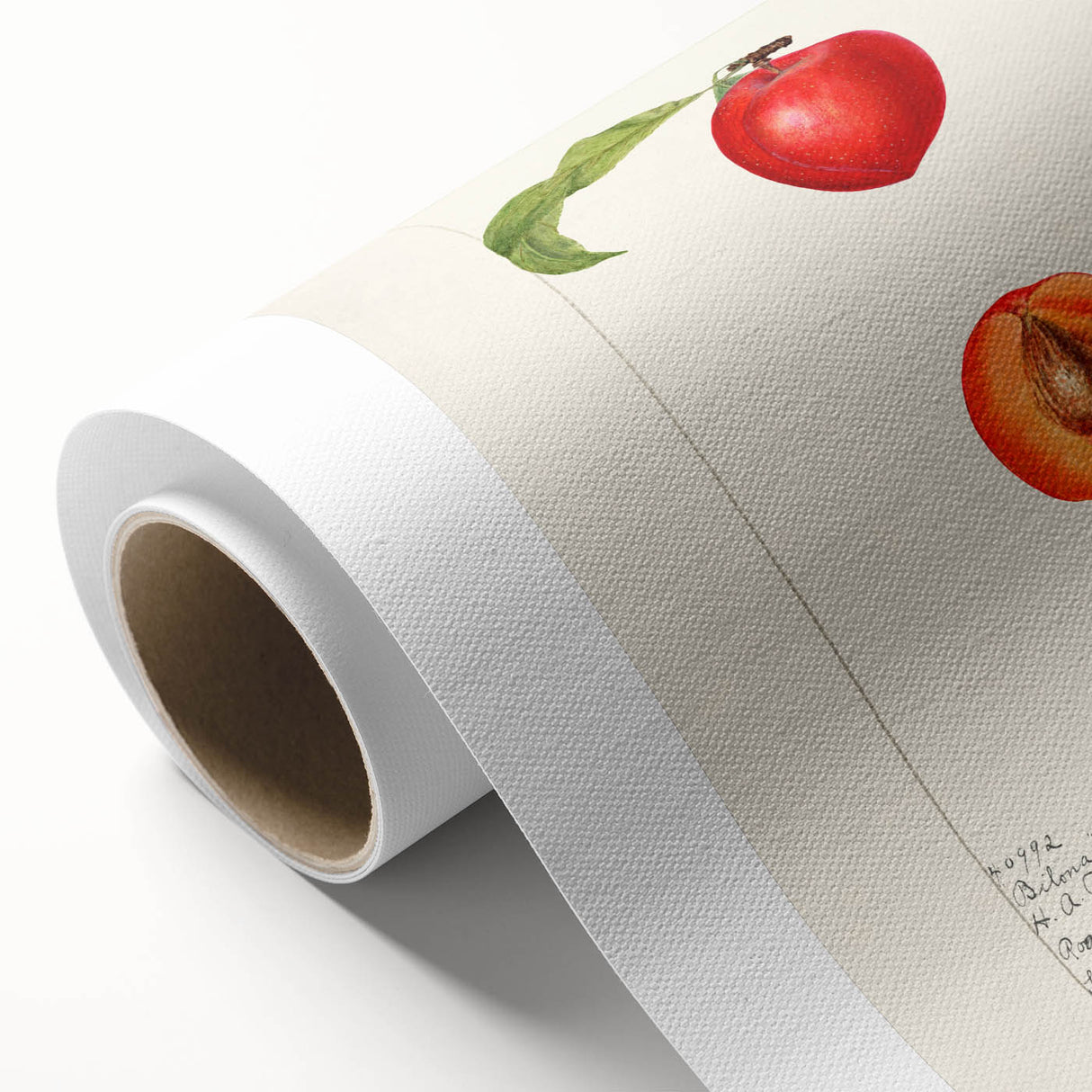 Art Deco poster of colorful fruits on rolled canvas, suitable for nursery wall art or dining room decor.