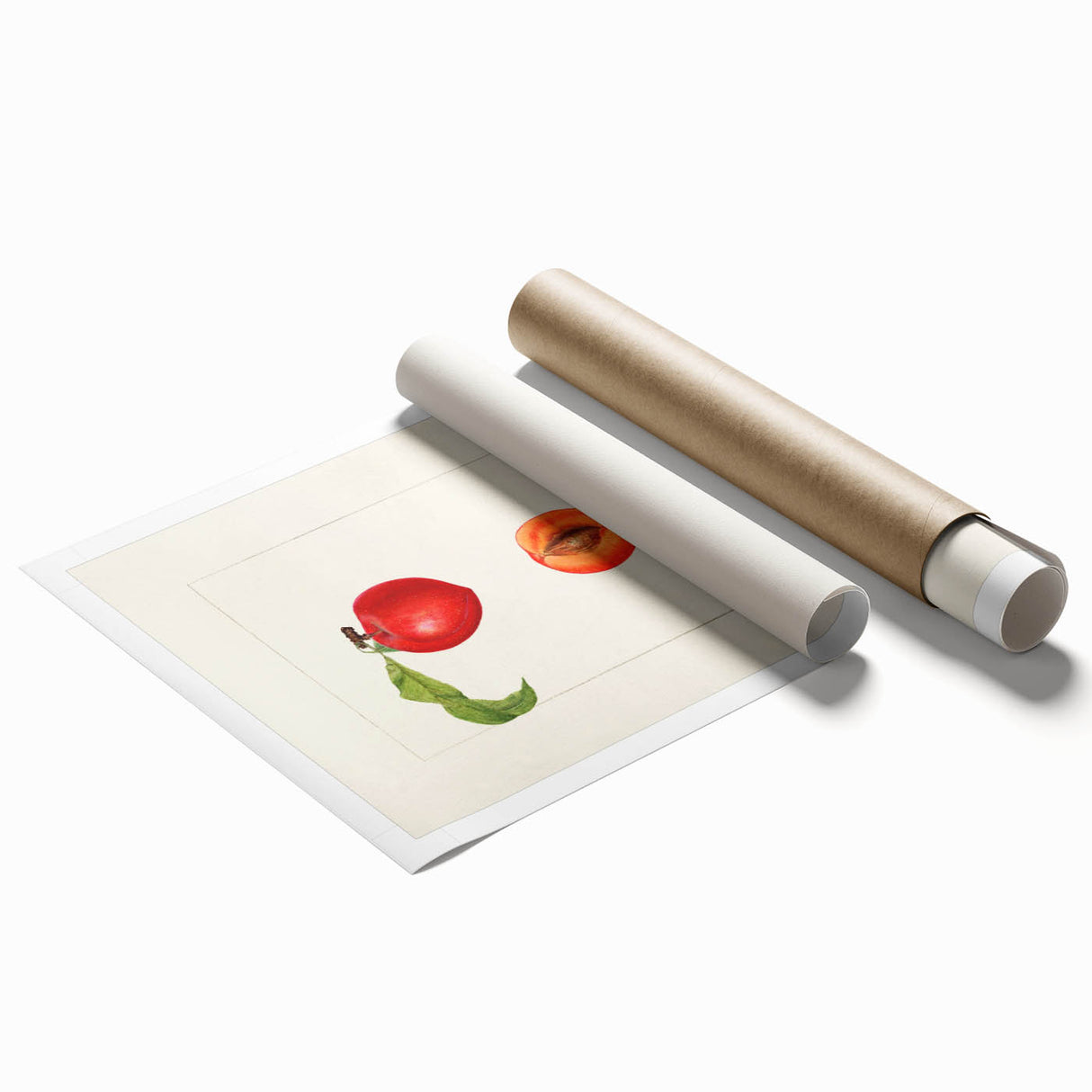 Extra large rolled print featuring an assortment of fruits in vibrant colors, ideal for classy bathroom wall art.