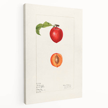 Large canvas print featuring assorted fruits in vibrant colors, ideal for kitchen wall art.