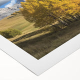 Landscape barn art print on rolled canvas showcasing vibrant colors and intricate details, elegantly packaged in a protective tube for easy transport and display.