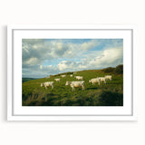 Countryside landscape framed art print with a white mat, showcasing serene rural scenery in vibrant colors, perfect for home decor and nature enthusiasts.