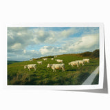 Rolled print showcasing a serene countryside landscape with rolling hills and a vibrant sunset, beautifully packaged in a protective cardboard tube for shipping. Ideal for home decor and art enthusiasts.