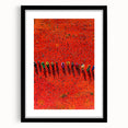 Black-framed landscape artwork featuring vibrant fields and serene nature scenery, elegantly matted for a polished presentation, perfect for home decor.