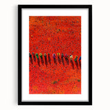 Black-framed landscape artwork featuring vibrant fields and serene nature scenery, elegantly matted for a polished presentation, perfect for home decor.