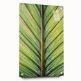 Large abstract wall art featuring close-up floral designs in vibrant colors on acrylic glass.