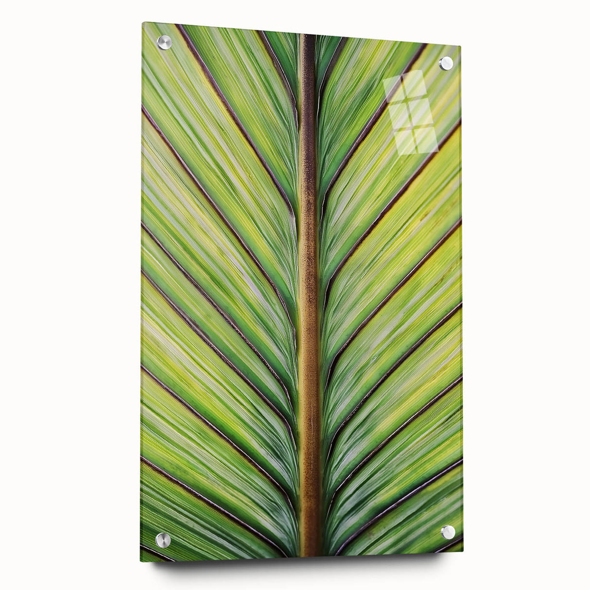 Large abstract wall art featuring close-up floral designs in vibrant colors on acrylic glass.