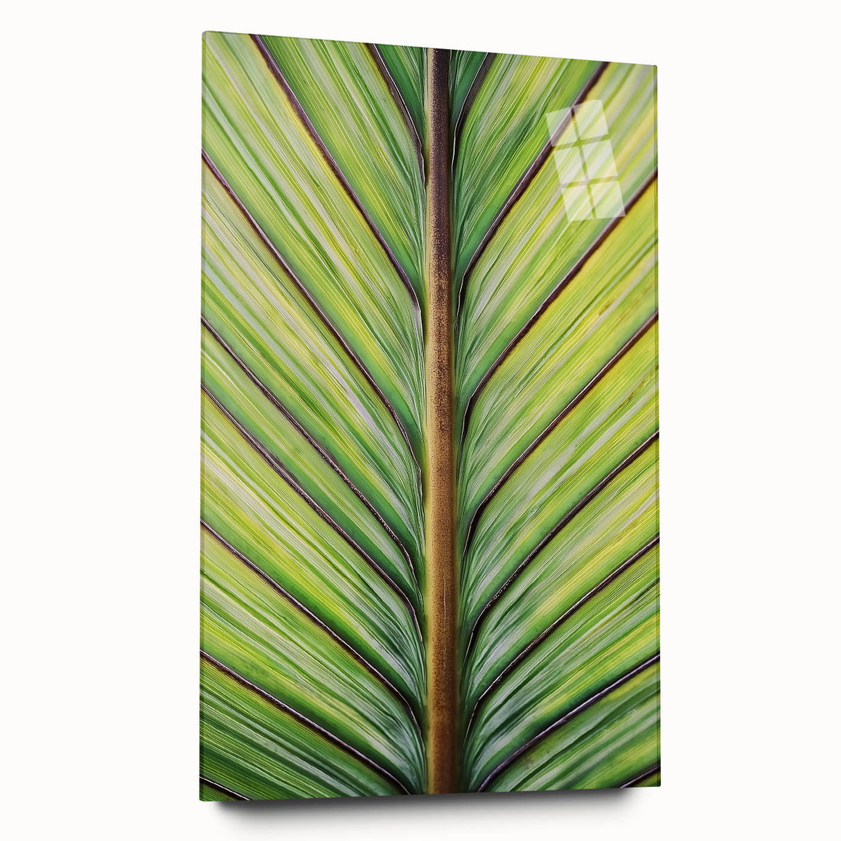 Large abstract floral print in vibrant colors on acrylic glass, ideal for bedroom or dining room decor.