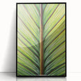 Large abstract wall art featuring close-up floral designs in vibrant colors on a black acrylic framed print.