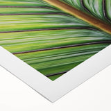 Art deco poster of vibrant floral patterns on a rolled canvas, suitable for dining room or bathroom.