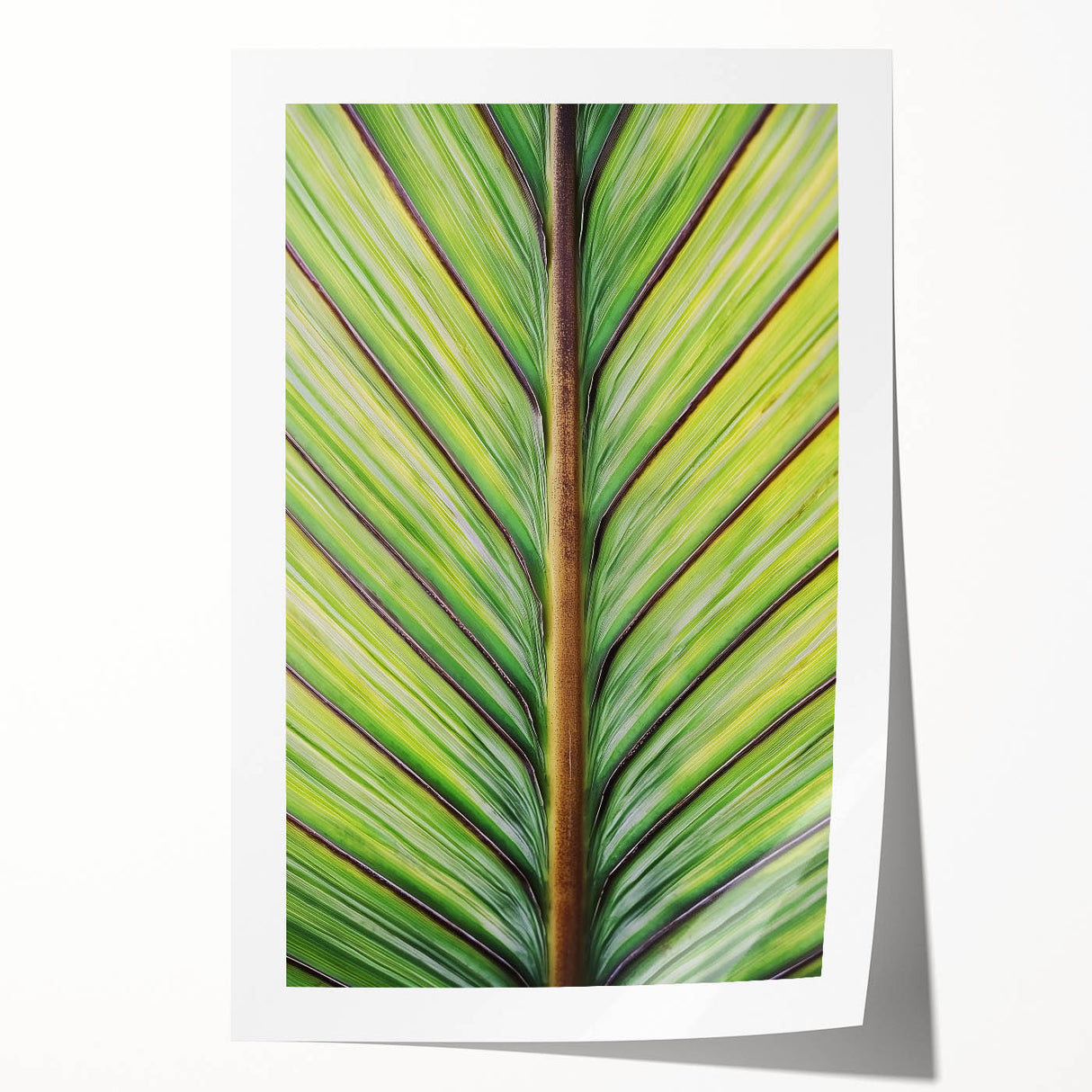 Close-up floral art on rolled print featuring vibrant shades of pink and green, ideal for dining room wall decor.