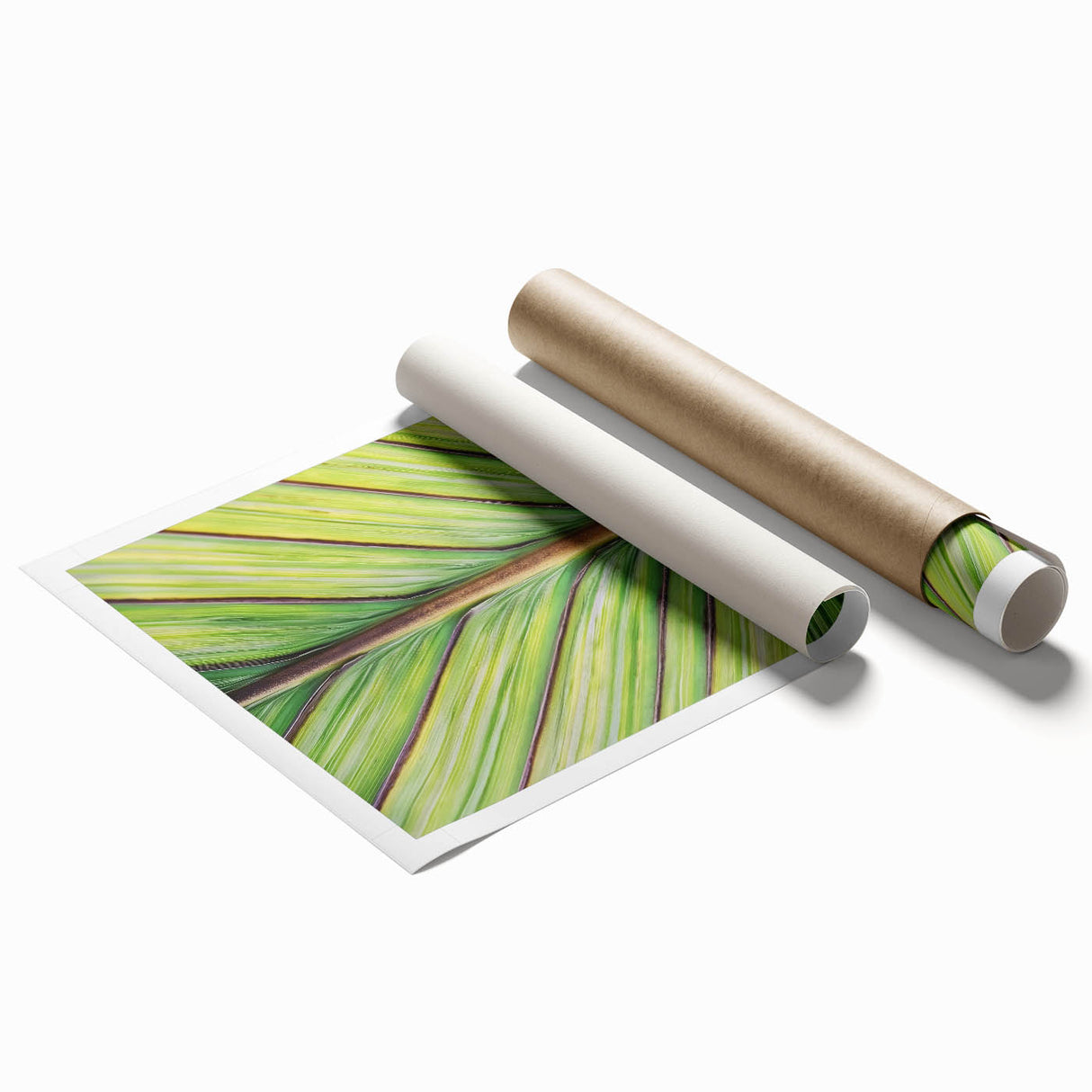 Extra large rolled print of close-up floral art in soft pastel shades, ideal for classy bathroom wall art.