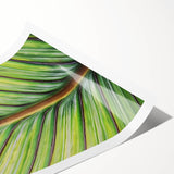 Extra large wall art featuring line art flowers in black and white on rolled canvas, suitable for large living room decor.