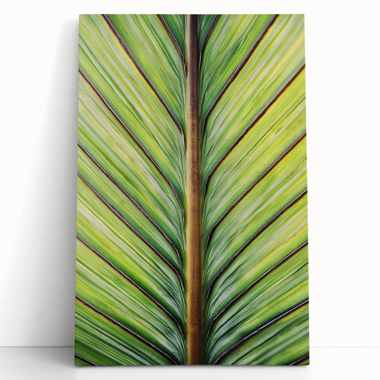 Black and white close-up floral photo on stretched canvas, ideal for kitchen wall art or bedroom ambiance.