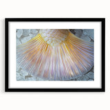 Extra large abstract art print featuring colorful, textured patterns on a black framed canvas, ideal for living room decor.