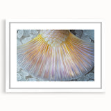 Large abstract wall art featuring close-ups of nature elements in muted green and brown, framed in white.