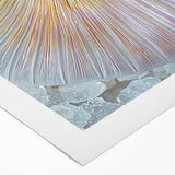 Art deco poster featuring close-up of nature elements in muted green and brown tones on rolled canvas.