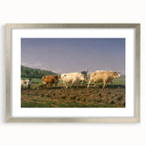 Classic Realism Farm Scene | Ploughing in Nevers by Rosa Bonheur Print