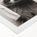 Towel-Wrapped Raccoon Bathroom Wall Art - Black and White Decor