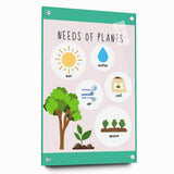 Kids' Room Educational Decor - Needs of Plants Learning Poster