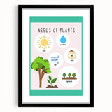 Kids' Room Educational Decor - Needs of Plants Learning Poster