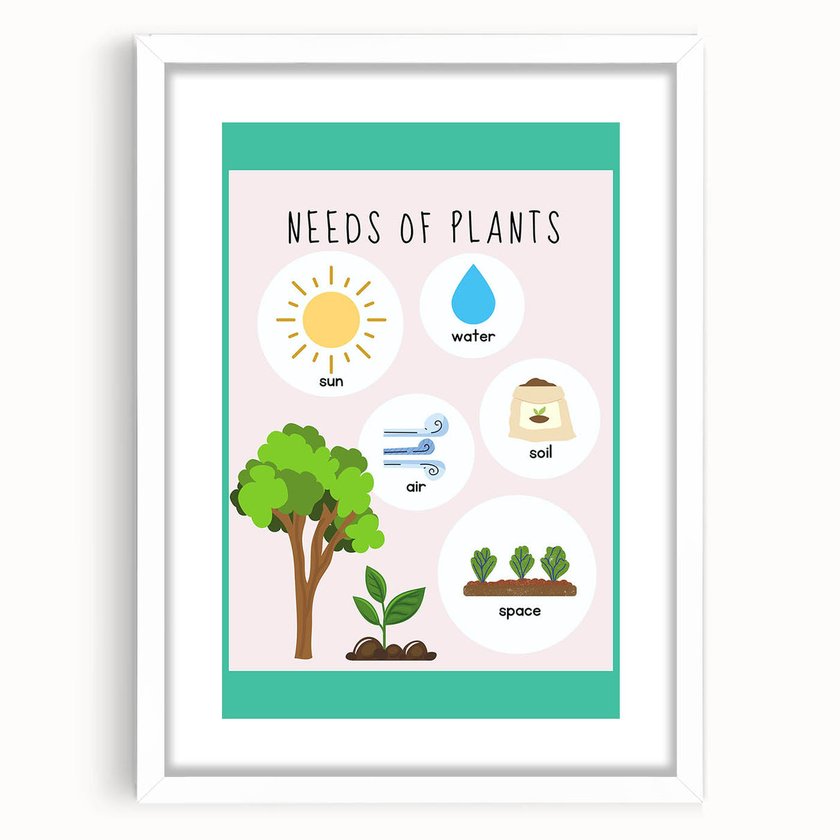 Kids' Room Educational Decor - Needs of Plants Learning Poster