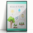 Kids' Room Educational Decor - Needs of Plants Learning Poster