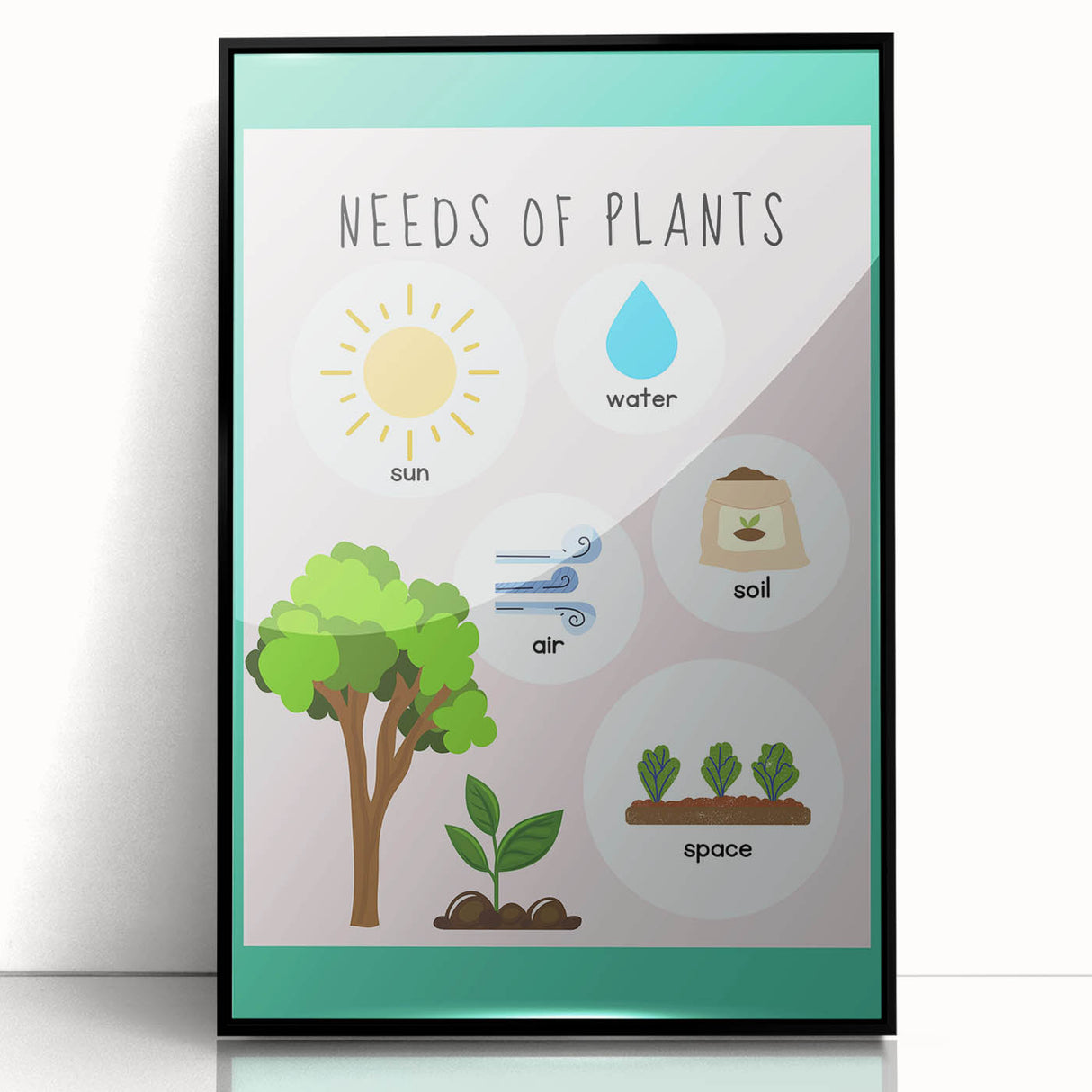 Kids' Room Educational Decor - Needs of Plants Learning Poster