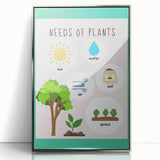 Kids' Room Educational Decor - Needs of Plants Learning Poster