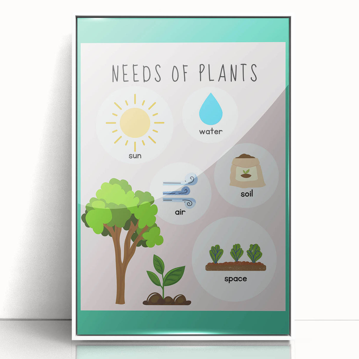Kids' Room Educational Decor - Needs of Plants Learning Poster