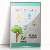 Kids' Room Educational Decor - Needs of Plants Learning Poster