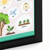 Kids' Room Educational Decor - Needs of Plants Learning Poster