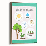 Kids' Room Educational Decor - Needs of Plants Learning Poster