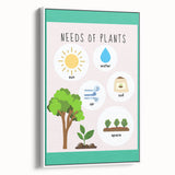 Kids' Room Educational Decor - Needs of Plants Learning Poster