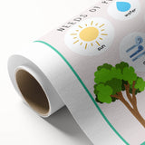 Kids' Room Educational Decor - Needs of Plants Learning Poster