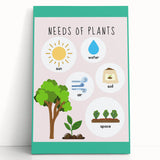 Kids' Room Educational Decor - Needs of Plants Learning Poster