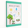 Kids' Room Educational Decor - Needs of Plants Learning Poster
